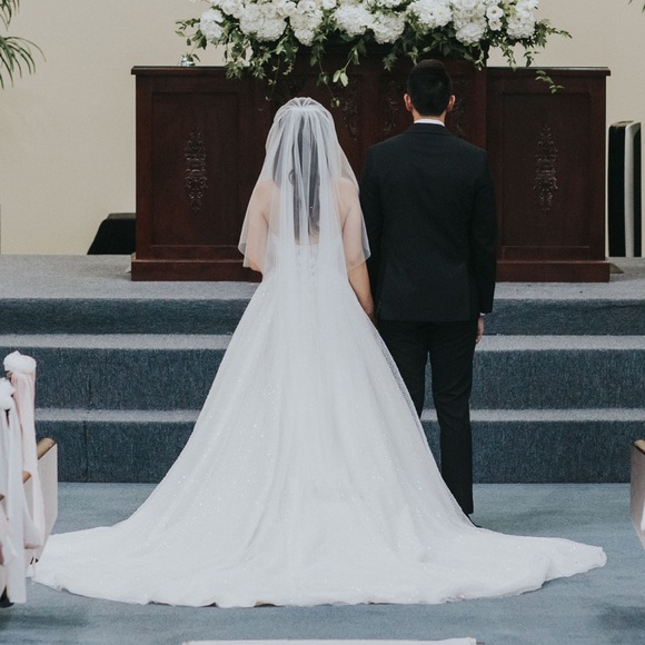 Maggie Sottero sparkly wedding dress - Picture 4 of 6